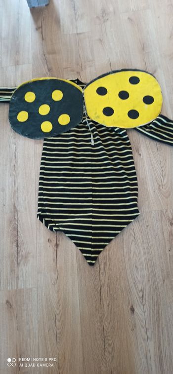 Déguisement abeille 10 ans