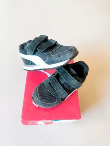Basket puma