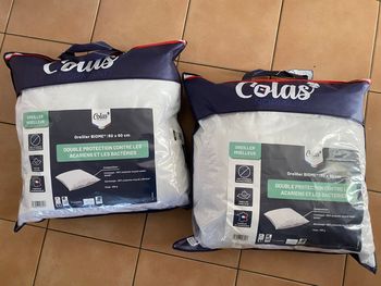 Lot oreillers Biome 60 x 60