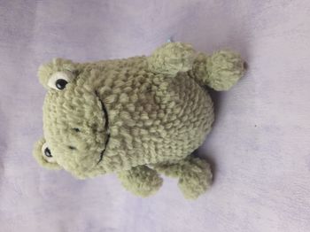 Peluche Jellycat neuve rare retired Flumpie frog grenouille FLUM3F NWT
