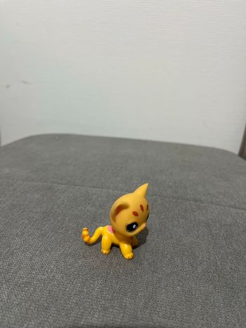 Petshop Chat  Européen Hasbro