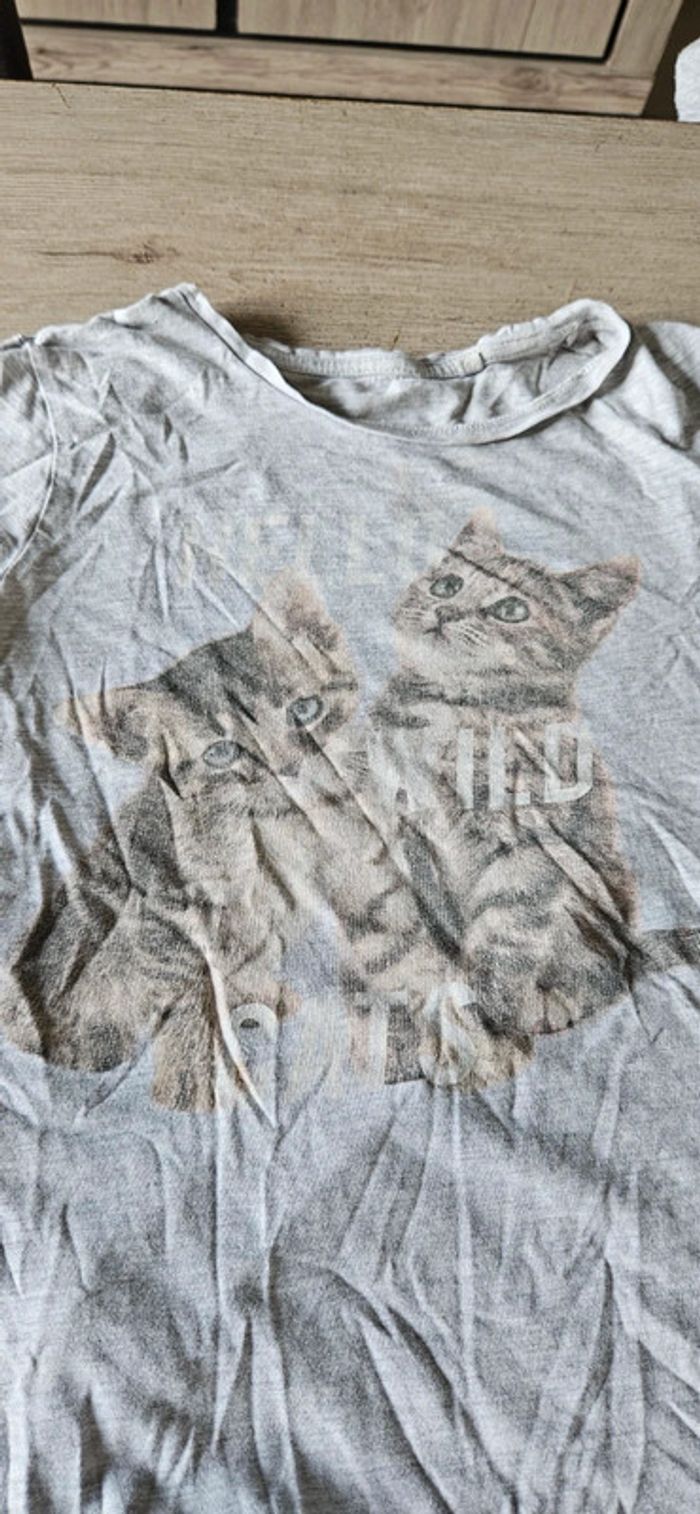 T shirt gris clair, manches courtes, C&A, taille 146/152 (11/12ans) - photo numéro 4