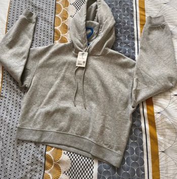 Sweat à capuche gris Xs neuf
