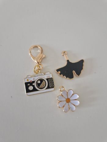 Porte clé et charms 