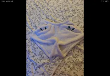 Short marie aristocrates undiz M