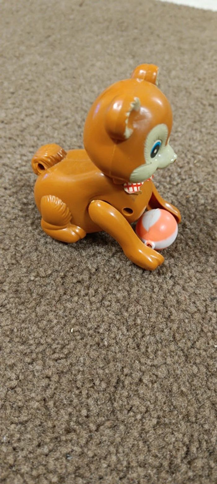 Chat qui saute - photo numéro 6