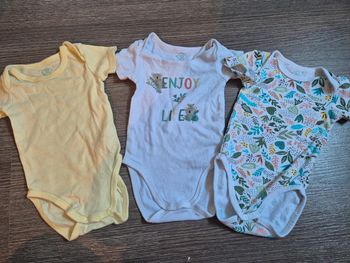 Lot de 3 bodys tex baby