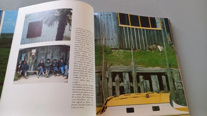 Fou de Bassin d'Arcachon - photo numéro 5