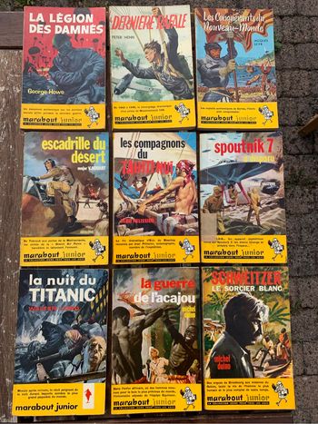 Lot 9 livres de la collection Marabout Junior - Vintage