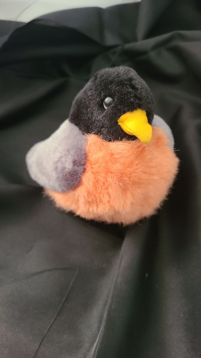 Appel d'oiseau en peluche K&M International 2001 Animal en peluche 5" sans son - photo numéro 2