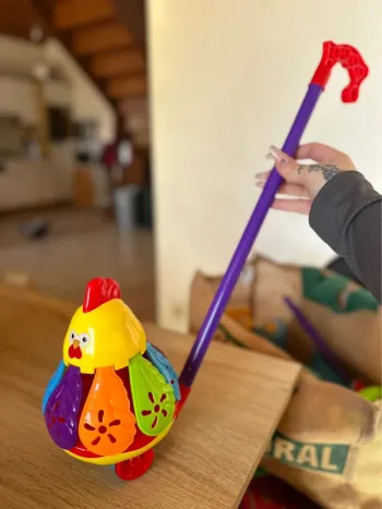 Jouet poule à pousser – Bruit et plumes tournantes – Très bon état