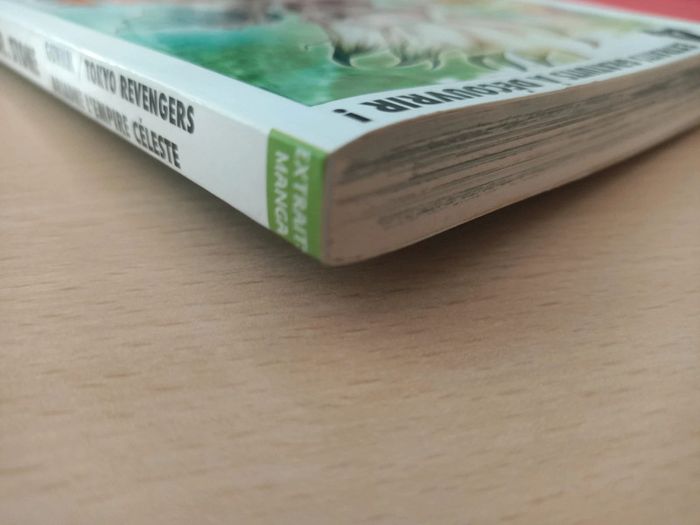 Manga 4 extraits (Dr.stone / gunnm / Tokyo revengers / ariadne l'empire céleste) (éditions glenat) - photo numéro 5