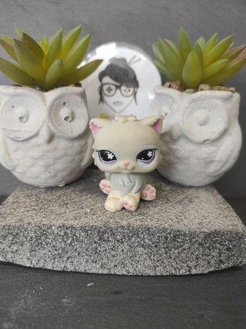 My Littlest Petshop LPS Pet Shop chat persan 609 722 cat  #geektradelpschat