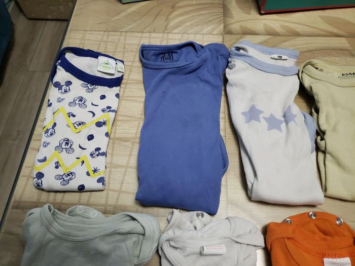 Lot 11 bodis courts 1 an 74 cm - photo numéro 2