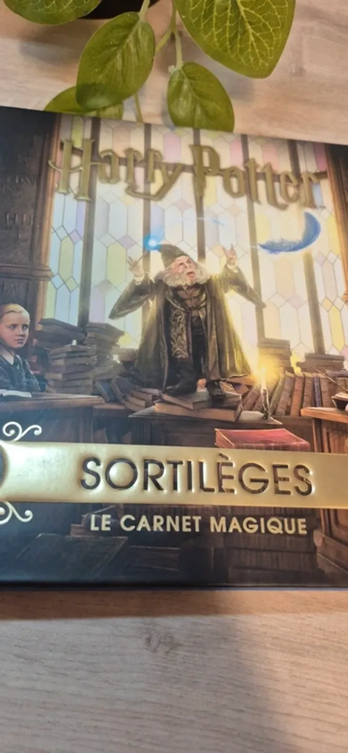 Livre harry potter - photo numéro 2
