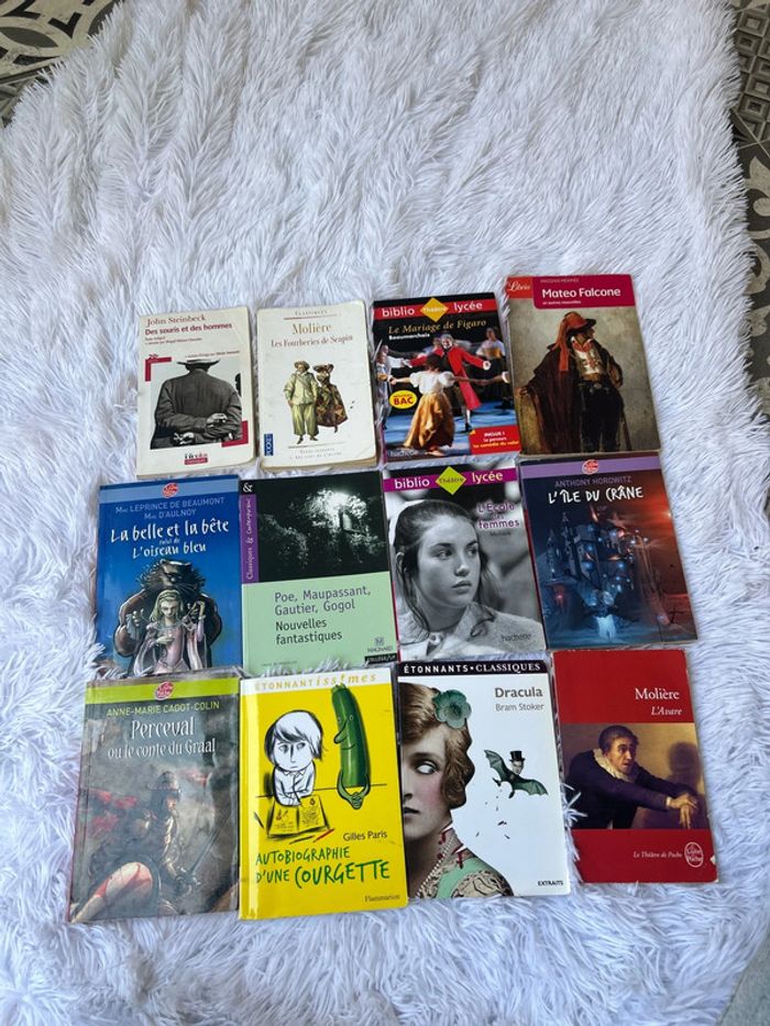 Livre au choix, littérature classique pour collège ou lycée