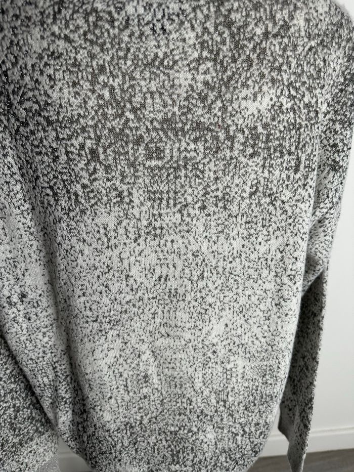Pull moucheté gris et argenté Eva Kayan T44 XXL - photo numéro 6