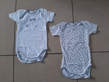 Lot de 2 bodys manches courtes fille 12 mois