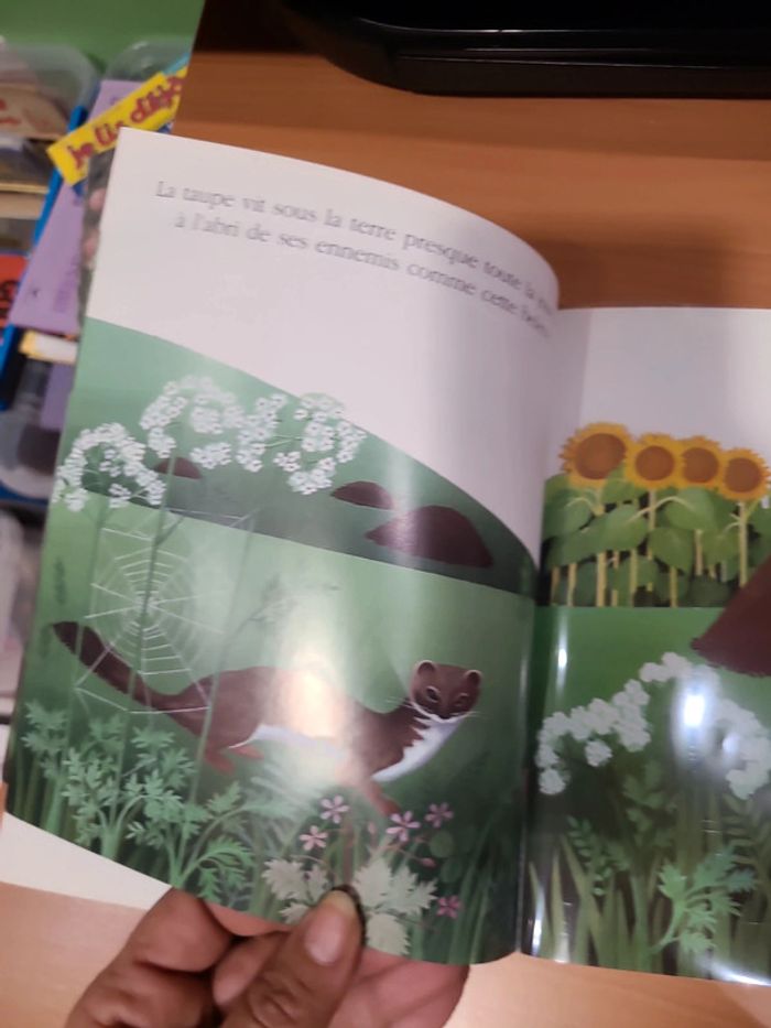 Cache cache le monde sous terre - photo numéro 13