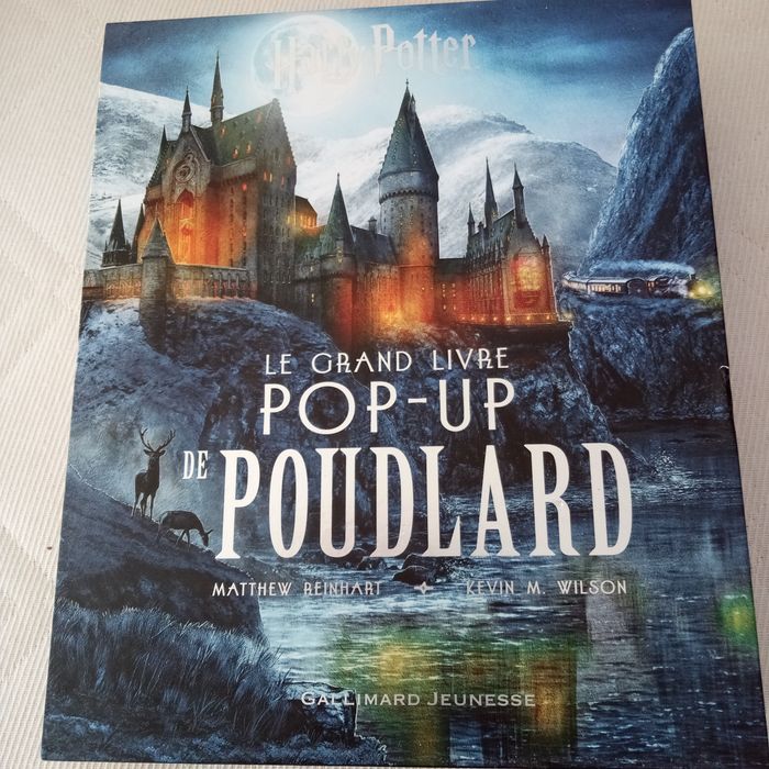 Le grand livre POP-UP de Poudlard