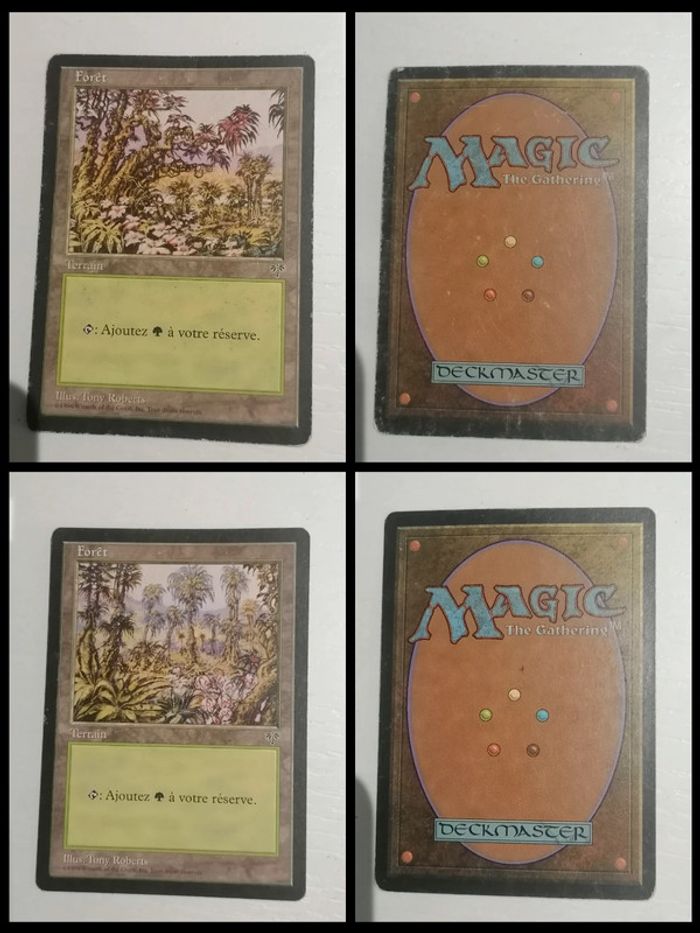 Lot de 10 cartes Magic The Gathering Carnage - photo numéro 5