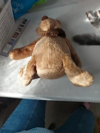 Ours en peluche
