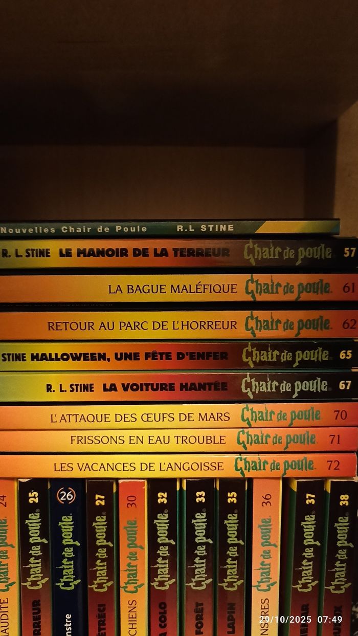 Livres Chair de Poule 2€ l'unité - photo numéro 5