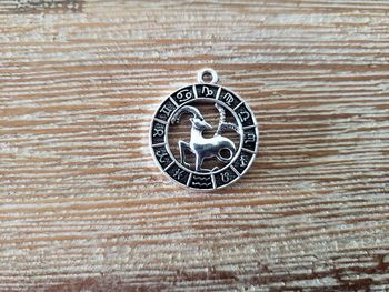 Pendentif argenté Capricorne