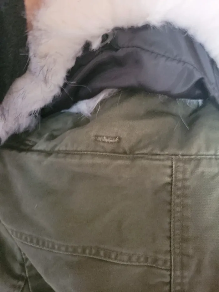 Manteau taille s - photo numéro 7