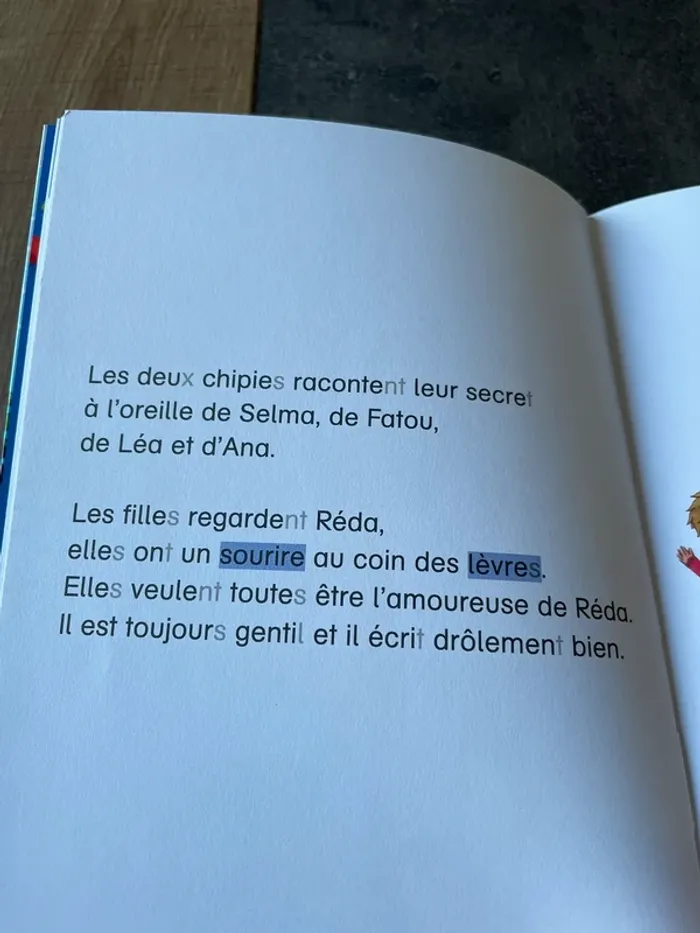 Lot 2 livres Je suis en CP Niveau 3 je lis tout seul - photo numéro 3