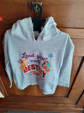 Sweat Disney