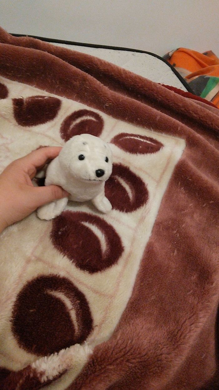 Peluche