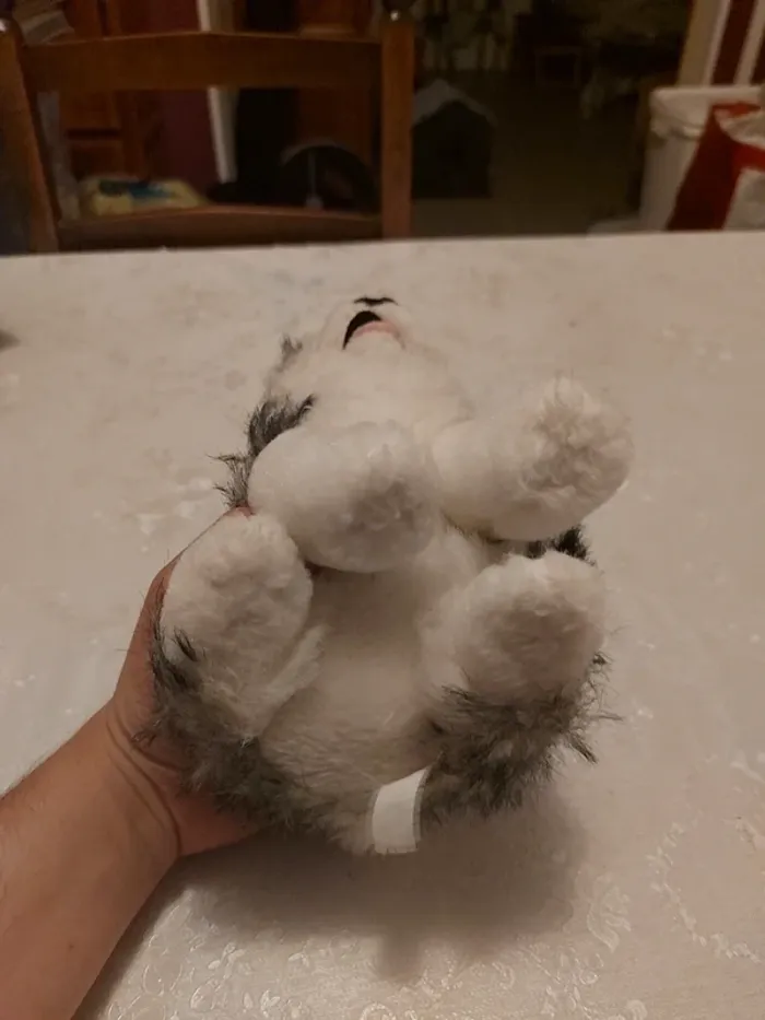 Peluche Husky - photo numéro 5