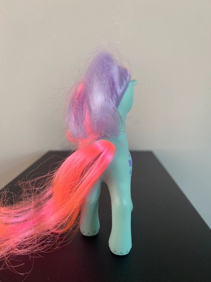 Pony ivy - photo numéro 7