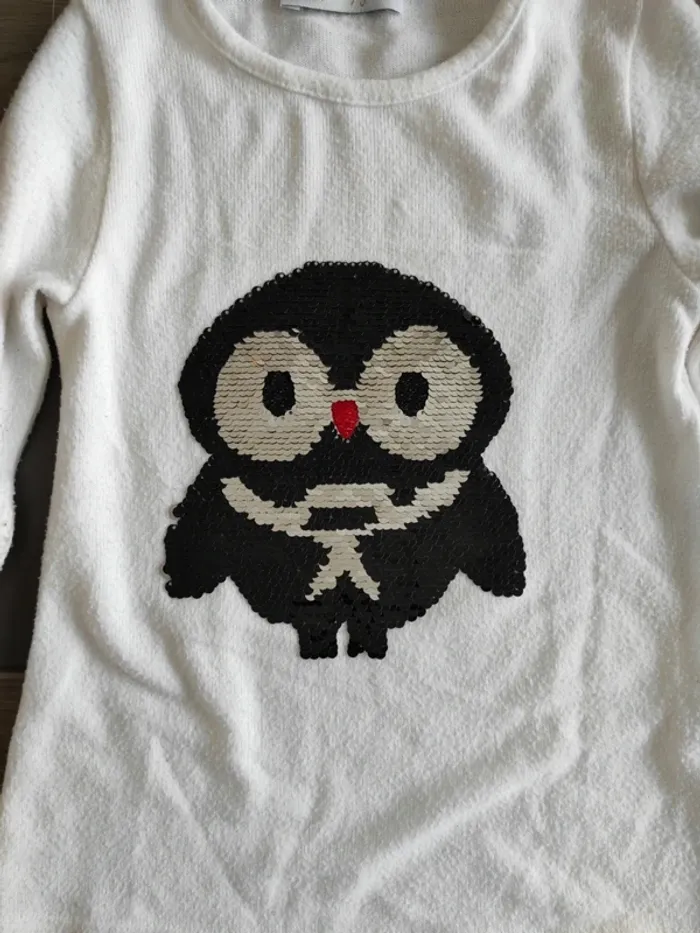 Pull chouette sequins