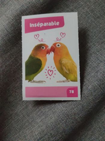 Autocollant nos amies les bêtes