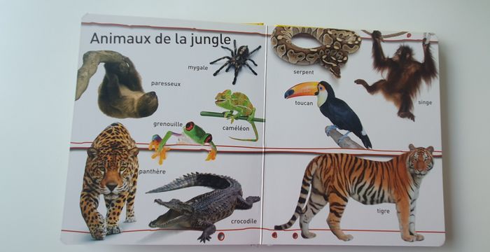Livre Regarde et apprends "Les animaux" - photo numéro 4