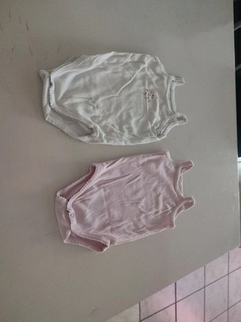 Lot 2 bodys été 9 mois