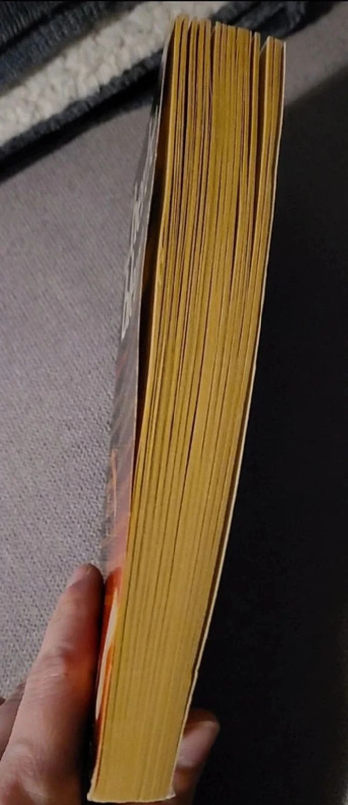 L'herbe bleue - photo numéro 3