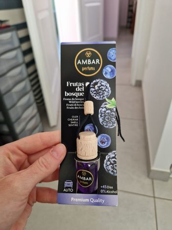 Diffuseur voiture Ambar