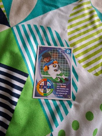 Carte playmobil football 12
