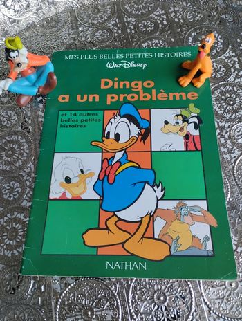 Livre Dingo a un problème 💚