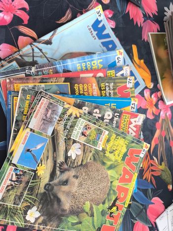 Lot de 7 magazines wapiti