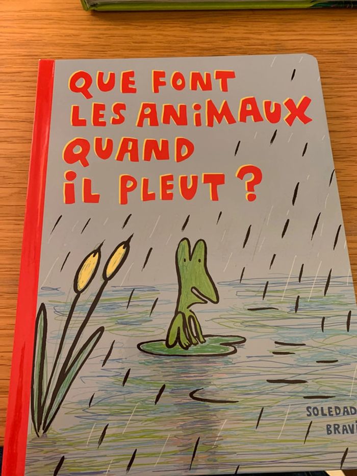 Livre que font les animaux quand il pleut ?