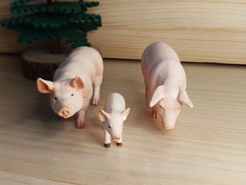 Schleich Papo Famille cochon Figurine Animal de la ferme