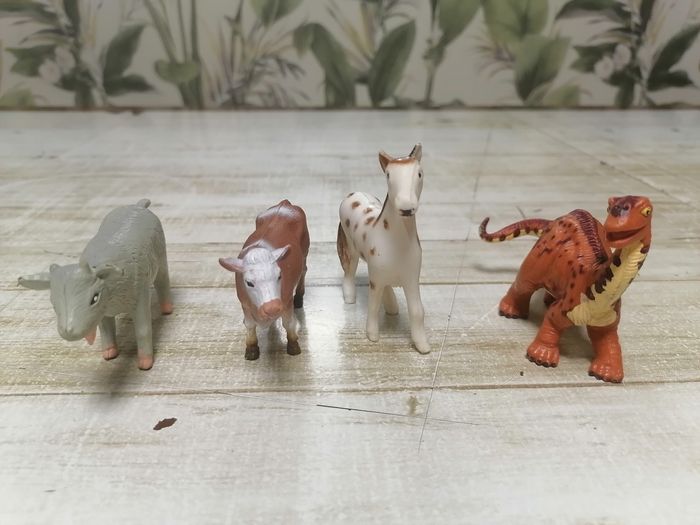 Animaux. - photo numéro 4