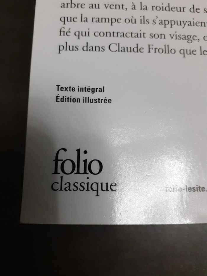 Hugo notre-dame de paris - photo numéro 3