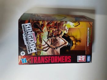 Transformers black arachnia