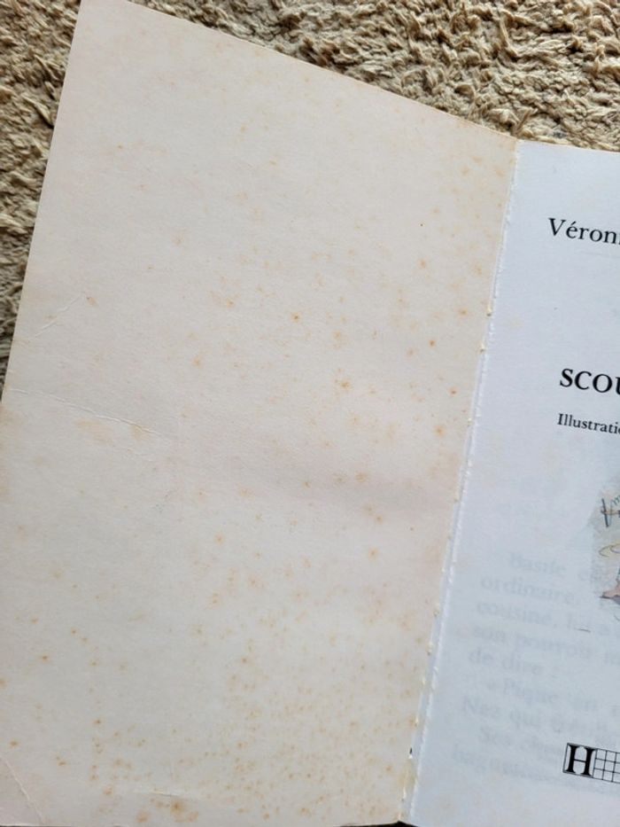 Livre enfant Basile et la scourloutoune de Véronique M. Le Normand Bibliothèque mini-rose - photo numéro 9