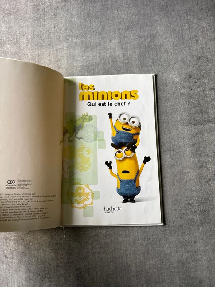 Livre les Minions qui est le chef - photo numéro 3